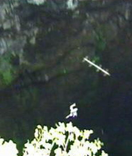 UMA スカイフィッシュとは? SkyFish,FlyingRods.Rod